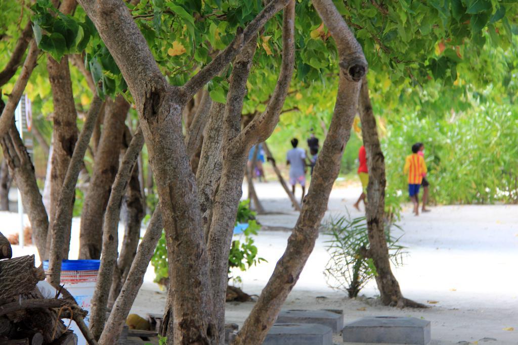 גוראידהו Rip Tide Vacation Inn, K.Guraidhoo מראה חיצוני תמונה