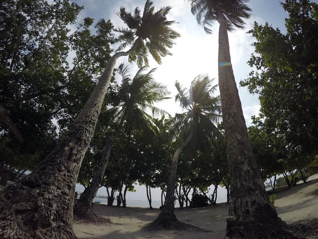 גוראידהו Rip Tide Vacation Inn, K.Guraidhoo מראה חיצוני תמונה