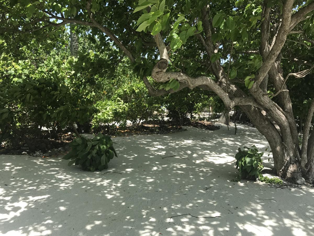 גוראידהו Rip Tide Vacation Inn, K.Guraidhoo מראה חיצוני תמונה