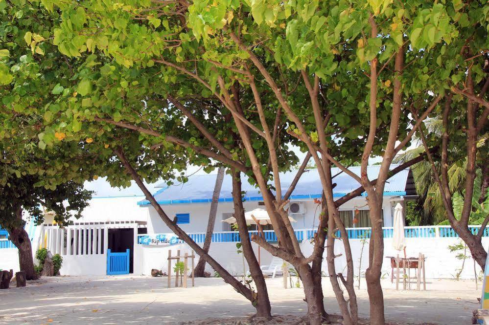 גוראידהו Rip Tide Vacation Inn, K.Guraidhoo מראה חיצוני תמונה