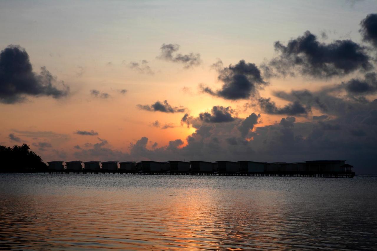גוראידהו Rip Tide Vacation Inn, K.Guraidhoo מראה חיצוני תמונה